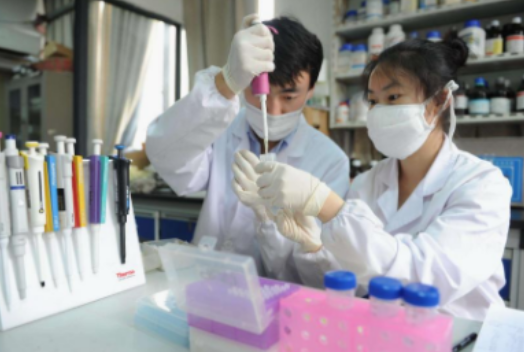 成都哪個學(xué)校有藥學(xué)專業(yè)