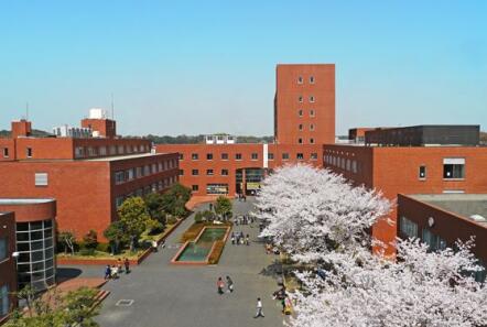 孩子走單招培訓靠譜嗎