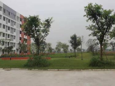 金堂中學怎么樣、好不好