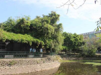 成都有哪些單招培訓學校比較好