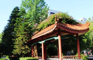 四川單招臨床醫學有哪些學校