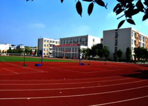 崇州小升初去哪個中學好