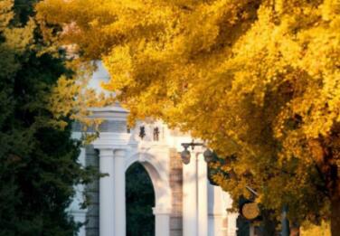 一般高考多少分可以上二本