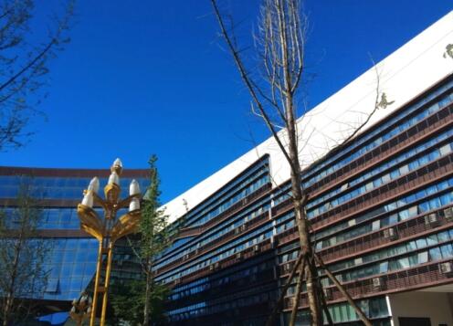 成都市中和職業中學2022招生錄取分數