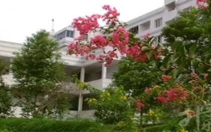 重慶市現(xiàn)代技工學(xué)校環(huán)境好不好