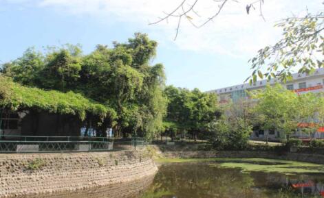 成都青華職業學校2022年收費標準