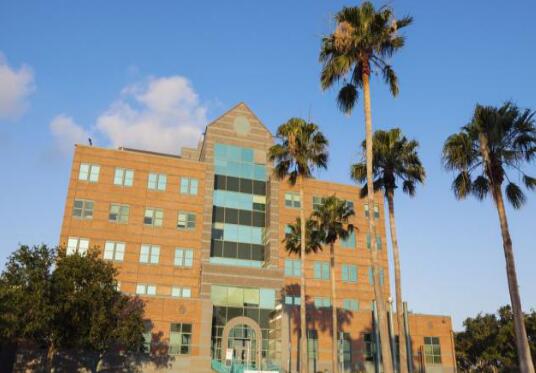 成都市文化藝術(shù)學(xué)校