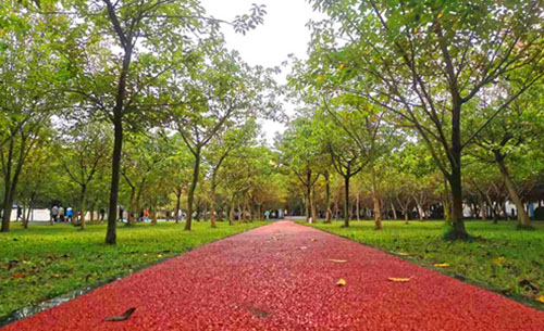 四川國盛技工學校