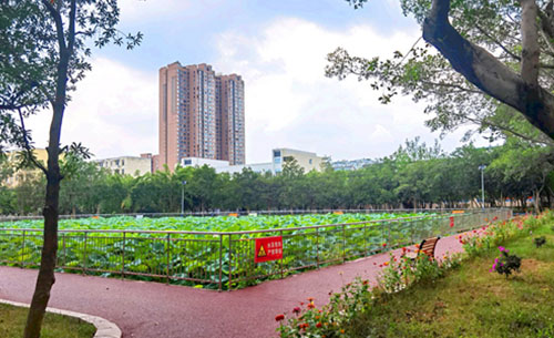 四川國盛技工學校