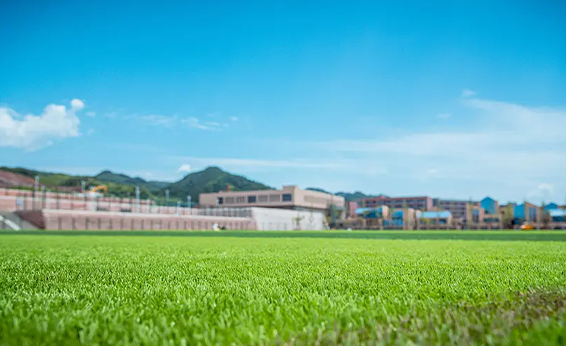 四川省經(jīng)濟(jì)管理學(xué)校