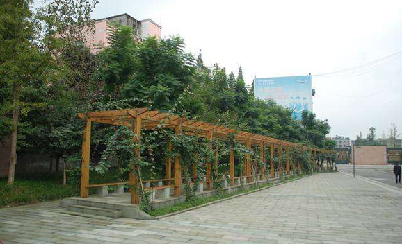 四川省東坡中等職業(yè)技術(shù)學(xué)校