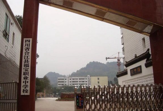 四川省合江縣福寶職業中學校2022招生錄取分數