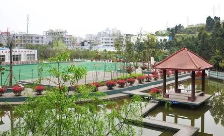 四川省樂(lè)至縣高級(jí)職業(yè)中學(xué)