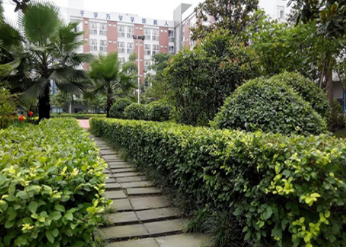 四川省瀘州市江南職業中學校2022招生錄取分數