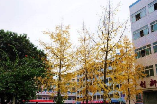 四川省南充中等專業學校地址、聯系方式