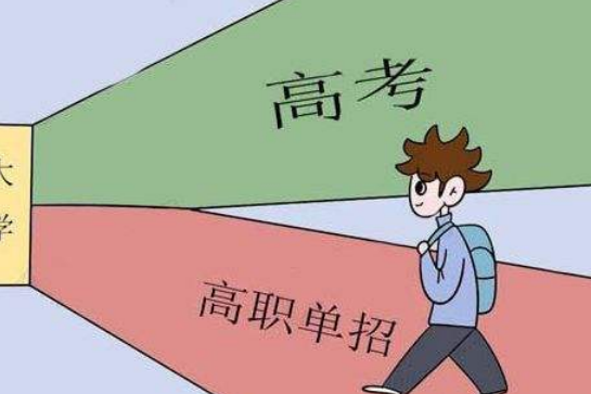 單招培訓班靠譜有用嗎