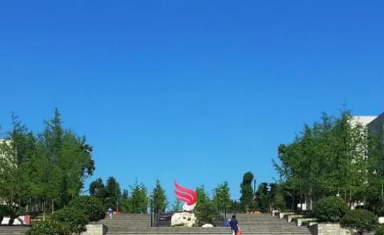 四川單招分?jǐn)?shù)線一般是多少