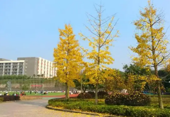 四川育英醫養科技技工學校