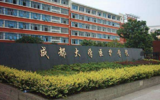 都江堰衛校校牌