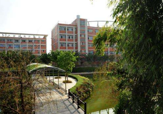 四川中江職高能藝考嗎