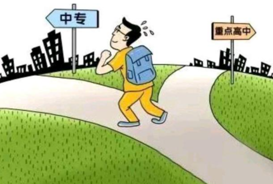 普高和職高分流有什么影響