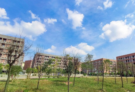 四川科技職業(yè)學(xué)院