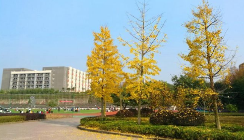 四川育英醫養科技技工學校