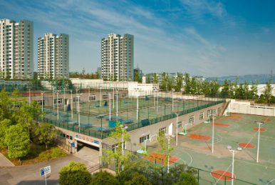 重慶500多分的學校