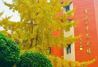 重慶400分能考上那些高中