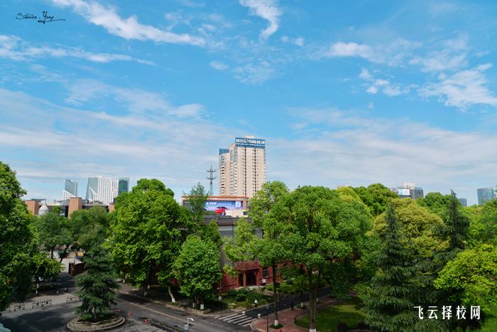 四川大學什么專業好就業