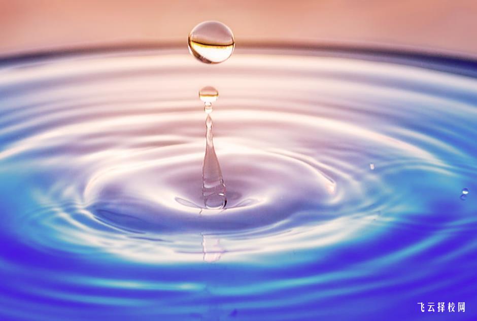 衛校有什么專業適合男女生