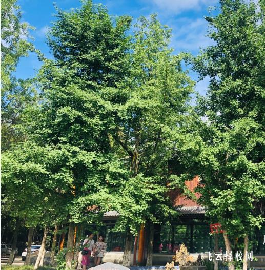 成都華大醫藥衛生學校好不好 學校怎么樣