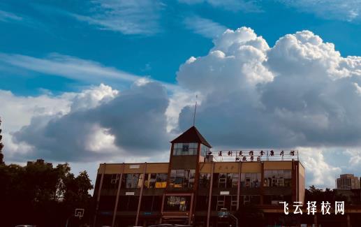 成都華大醫藥衛生學校是公辦嗎  靠譜嗎