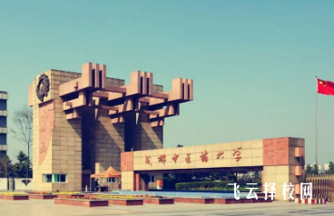 成都醫(yī)藥衛(wèi)生類學校有哪些