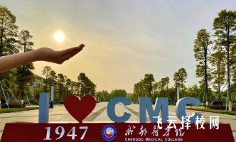 成都有哪些優(yōu)秀的衛(wèi)生學院