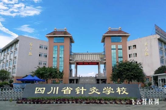 成都針灸學校是公辦學校還是民辦學校