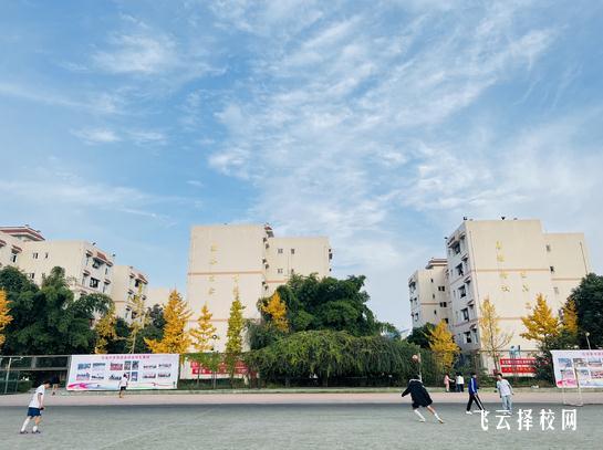 成都針灸學校有哪些專業 適合女生專業