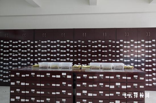 成都針灸學校有哪些專業 適合女生專業