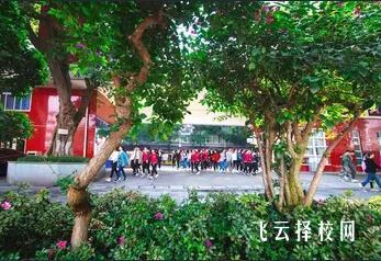 樂山一職中有哪些專業，樂山一職中有什么專業