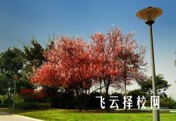 南充衛(wèi)校好不好 怎么樣 