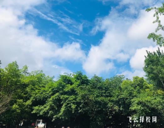 成都華大醫(yī)藥衛(wèi)生學(xué)校2023錄取招生分?jǐn)?shù)線