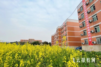 成都中專學校排名前十,選學校一定要看