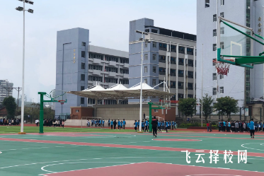 高中文憑和中專文憑哪個高，有什么區別