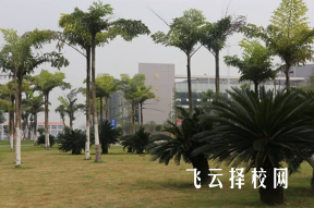 2023年內江威遠中專招生分數線