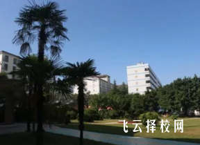 綿陽游仙職業技術學校要多少分