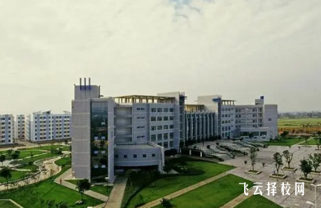 德陽建院2024年單招分?jǐn)?shù)線