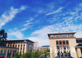 2023眉山藥科護理專業(yè)招多少人