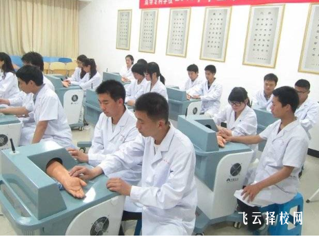 女生學中醫專業前景怎么樣