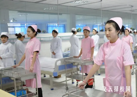 護理單招一般多少分能過