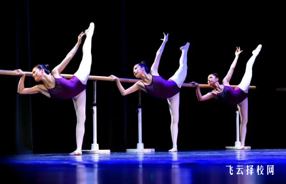 四川單招可以報考舞蹈專業嗎